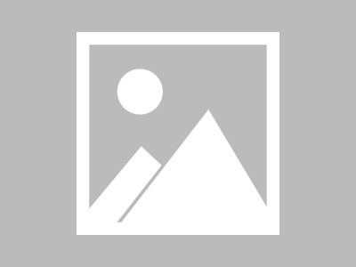 金天国加勒比的简单介绍